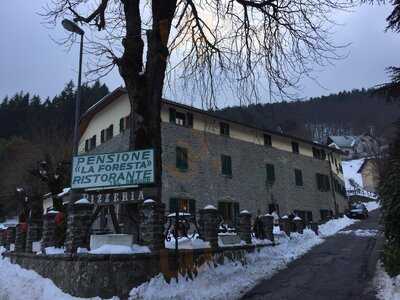 Ristorante Pizzeria La Foresta, Badia Prataglia