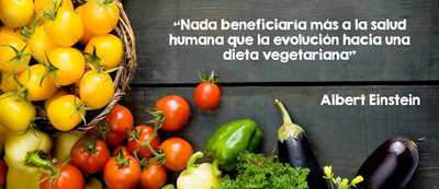 Soja Fast Veggie