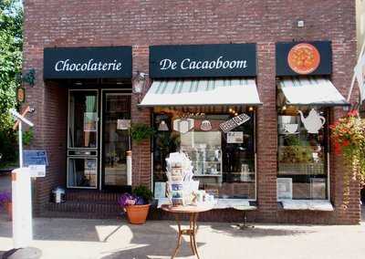 Chocolaterie De Cacaoboom