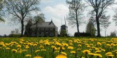 Restaurant De Molenmeester