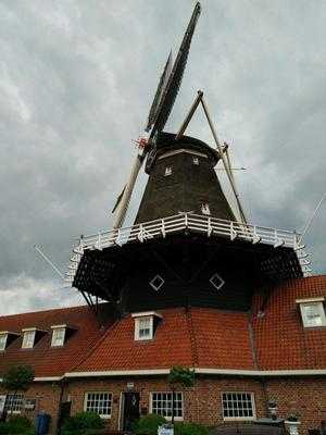 Molen De Zwaluw