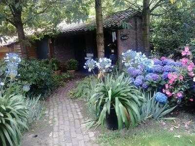 Theetuin De Roode Vennen