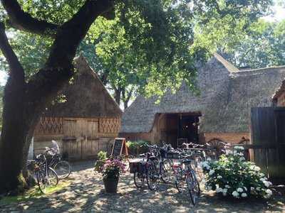 Oud Saksische Koffie & Pannenkoekboerderij 't Hoes Van Hol-an