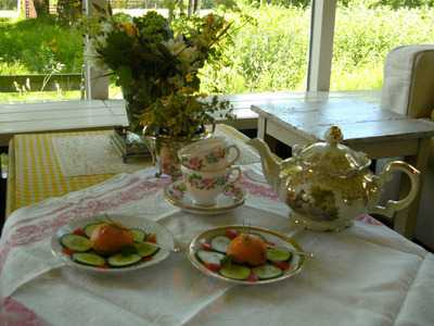 High Tea Restaurant Theetuin Nijeholtpade