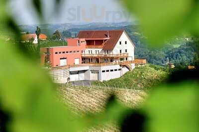 Weingut Puschnig8