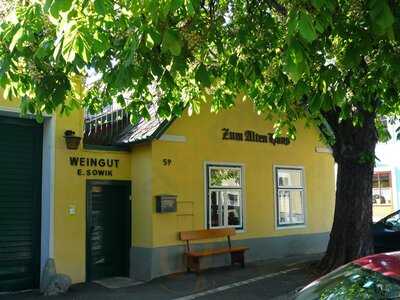 Weingut Sovik