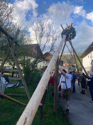 Mostschenke Zum Hoangarten - Brauerei Kaltenböck