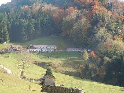 Almgasthof Hochsteinalm