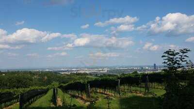 Weingut Wailand