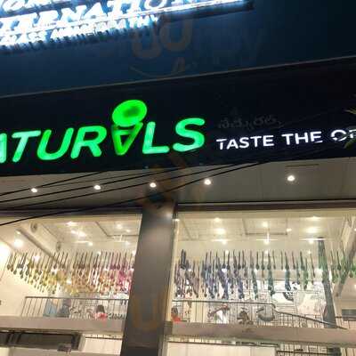 Naturals Ice Creams