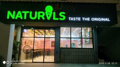 Naturals Ice Creams