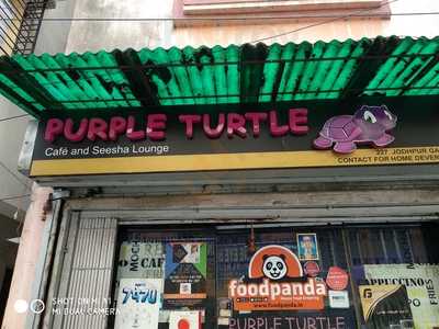 Purple Turtle