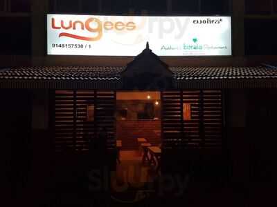 Lungees Foods