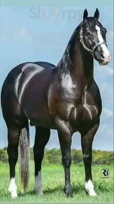 Shanthi Sagar Restaurant