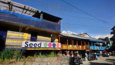 Seed Organic Cafe