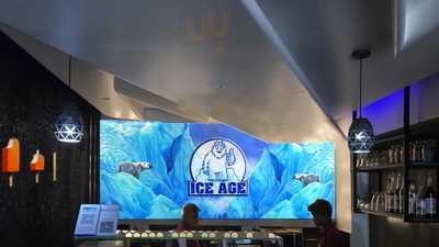 The Ice Age