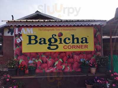 Bagicha Corner