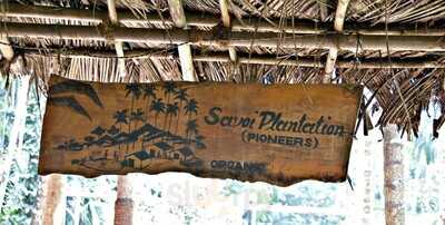 Savoi Plantation