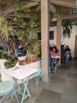 Triveni Terrace Cafe