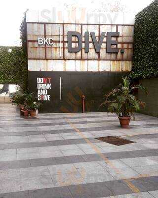 Bkc Dive.