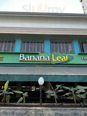 Banana Leaf