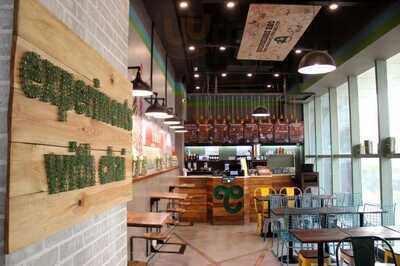 Chaayos