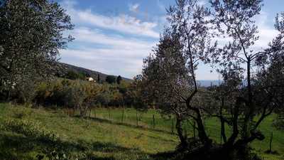 Ristorante La Pergola, Prato