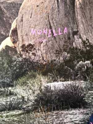 Monella Gelato