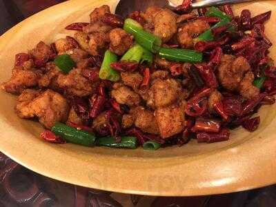 Red Chilli Sichuan Restaurant