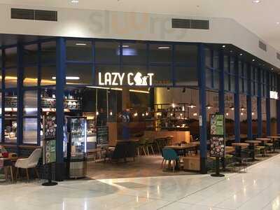 Lazy Cat Cafe