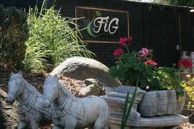 Fig & Co