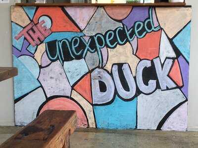 The Unexpected Duck