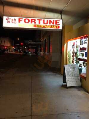 Fortune Chinese Restaurant