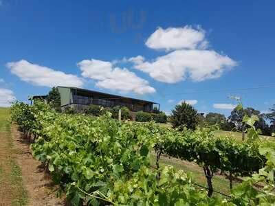 Traralgon Vineyard