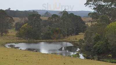 Bodalla Dairy Shed