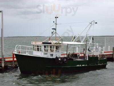 Port Albert Fish & Chip Co