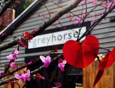 The Greyhorse Cafe