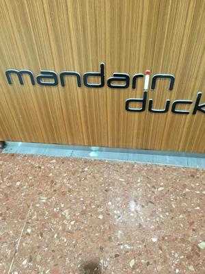 Mandarin Duck