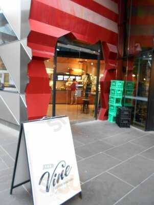 The Vine Coffee Roasters