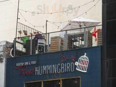 The Red Hummingbird