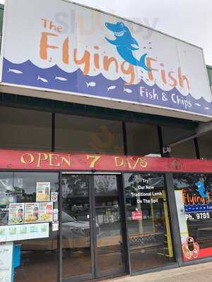 The Flying Fish