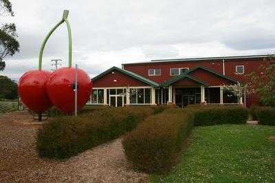 The Cherry Shed