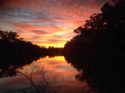 Perricoota Station menu