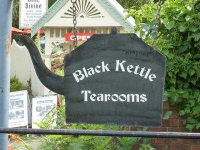 The Black Kettle Sassafras