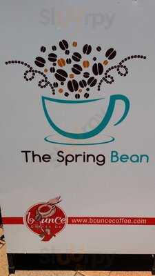 The Spring Bean Tolga