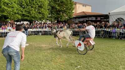 Sagra Della Campagna, Faenza