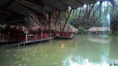 Veg Fish Farm Thai Restaurant