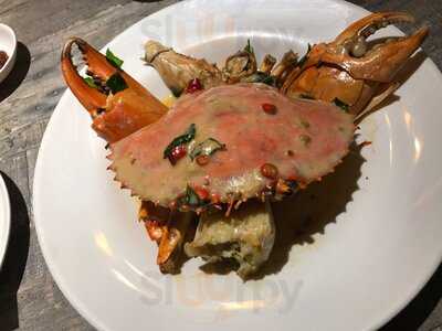 Holycrab