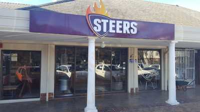 Steers