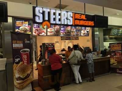 Steers